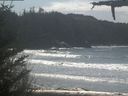 ./images/calvert/beach/20210410/beach20210410_125003.jpg