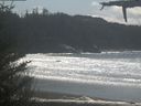 ./images/calvert/beach/20210410/beach20210410_133502.jpg