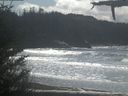 ./images/calvert/beach/20210410/beach20210410_134501.jpg