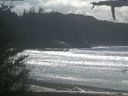 ./images/calvert/beach/20210410/beach20210410_135503.jpg