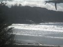 ./images/calvert/beach/20210410/beach20210410_140003.jpg