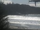 ./images/calvert/beach/20210410/beach20210410_140503.jpg