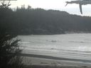 ./images/calvert/beach/20210411/beach20210411_144002.jpg