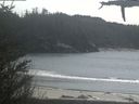 ./images/calvert/beach/20210413/beach20210413_151501.jpg
