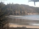 ./images/calvert/beach/20210415/beach20210415_184502.jpg