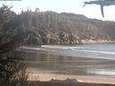 ./images/calvert/beach/20210415/beach20210415_185503.jpg
