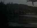 ./images/calvert/beach/20210415/beach20210415_210503.jpg
