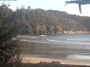 ./images/calvert/beach/20210416/beach20210416_185502.jpg