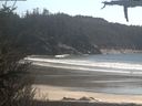 ./images/calvert/beach/20210417/beach20210417_154503.jpg