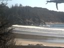 ./images/calvert/beach/20210417/beach20210417_170502.jpg