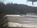 ./images/calvert/beach/20210418/beach20210418_141001.jpg