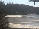 ./images/calvert/beach/20210418/beach20210418_141501.jpg