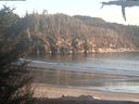 ./images/calvert/beach/20210418/beach20210418_195002.jpg