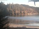 ./images/calvert/beach/20210418/beach20210418_195502.jpg