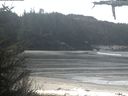 ./images/calvert/beach/20210419/beach20210419_113502.jpg