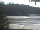 ./images/calvert/beach/20210419/beach20210419_141502.jpg