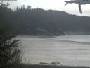 ./images/calvert/beach/20210419/beach20210419_154003.jpg