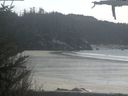 ./images/calvert/beach/20210419/beach20210419_155002.jpg