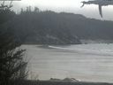 ./images/calvert/beach/20210419/beach20210419_160502.jpg