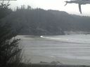 ./images/calvert/beach/20210419/beach20210419_162002.jpg