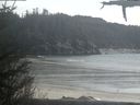 ./images/calvert/beach/20210419/beach20210419_171502.jpg