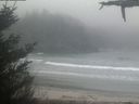 ./images/calvert/beach/20210420/beach20210420_065501.jpg