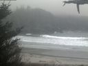 ./images/calvert/beach/20210420/beach20210420_072001.jpg