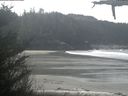 ./images/calvert/beach/20210420/beach20210420_114503.jpg