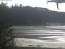 ./images/calvert/beach/20210420/beach20210420_145502.jpg
