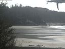 ./images/calvert/beach/20210420/beach20210420_150503.jpg