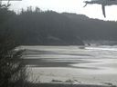 ./images/calvert/beach/20210421/beach20210421_145002.jpg