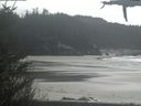 ./images/calvert/beach/20210421/beach20210421_150503.jpg