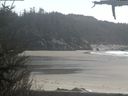 ./images/calvert/beach/20210421/beach20210421_162502.jpg