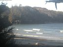 ./images/calvert/beach/20210422/beach20210422_090502.jpg