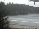 ./images/calvert/beach/20210423/beach20210423_095001.jpg