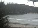 ./images/calvert/beach/20210423/beach20210423_100501.jpg
