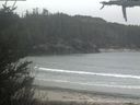 ./images/calvert/beach/20210423/beach20210423_103503.jpg