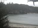 ./images/calvert/beach/20210423/beach20210423_113503.jpg