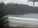 ./images/calvert/beach/20210424/beach20210424_100502.jpg