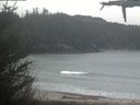 ./images/calvert/beach/20210424/beach20210424_110503.jpg