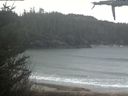 ./images/calvert/beach/20210424/beach20210424_114003.jpg
