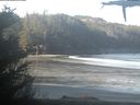 ./images/calvert/beach/20210425/beach20210425_085001.jpg