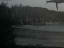 ./images/calvert/beach/20210425/beach20210425_212002.jpg