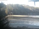 ./images/calvert/beach/20210426/beach20210426_083501.jpg