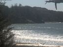 ./images/calvert/beach/20210426/beach20210426_130502.jpg