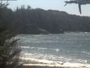 ./images/calvert/beach/20210426/beach20210426_131502.jpg