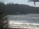 ./images/calvert/beach/20210426/beach20210426_133503.jpg