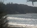 ./images/calvert/beach/20210426/beach20210426_134003.jpg