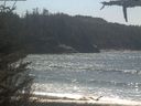 ./images/calvert/beach/20210426/beach20210426_134502.jpg