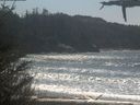 ./images/calvert/beach/20210426/beach20210426_135002.jpg